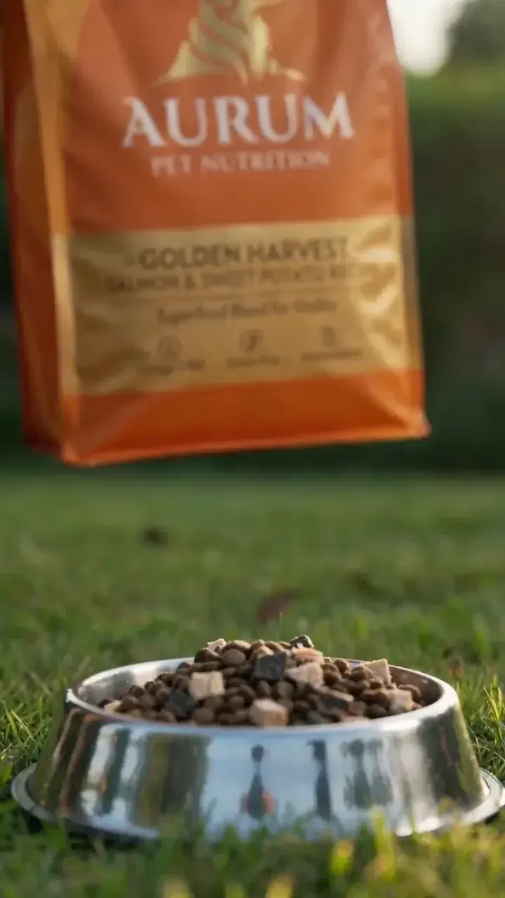 Premium Dog Food Ad
