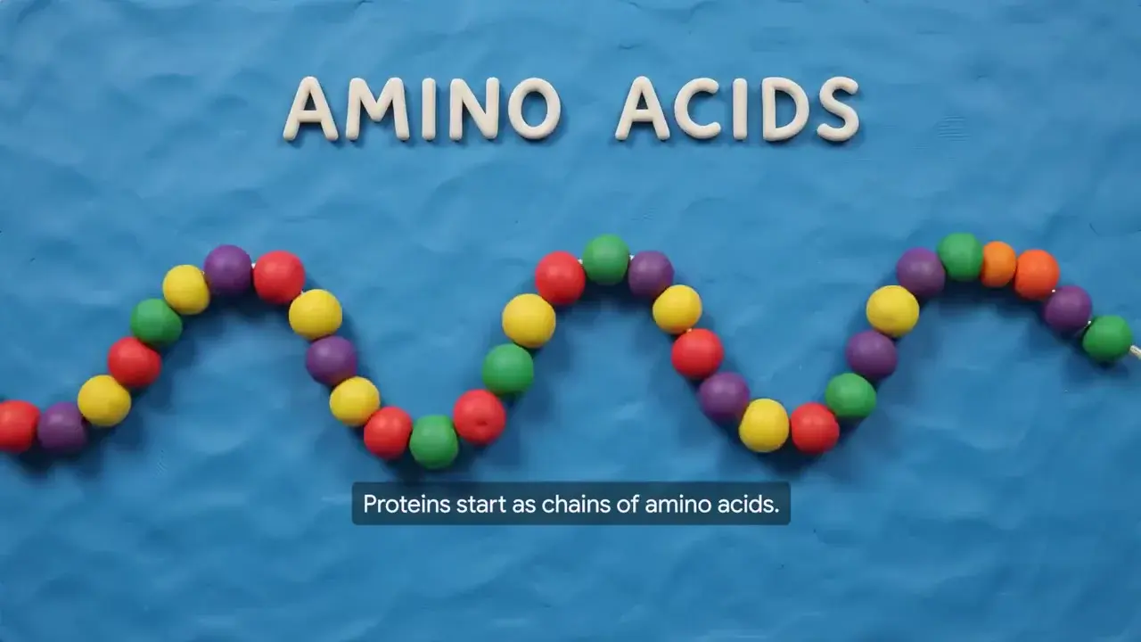 Protein Knowledge